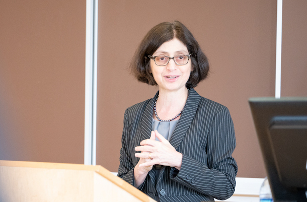 Professor Wendy Parmet, director of Northeastern Laws Center for Health Policy and Law.