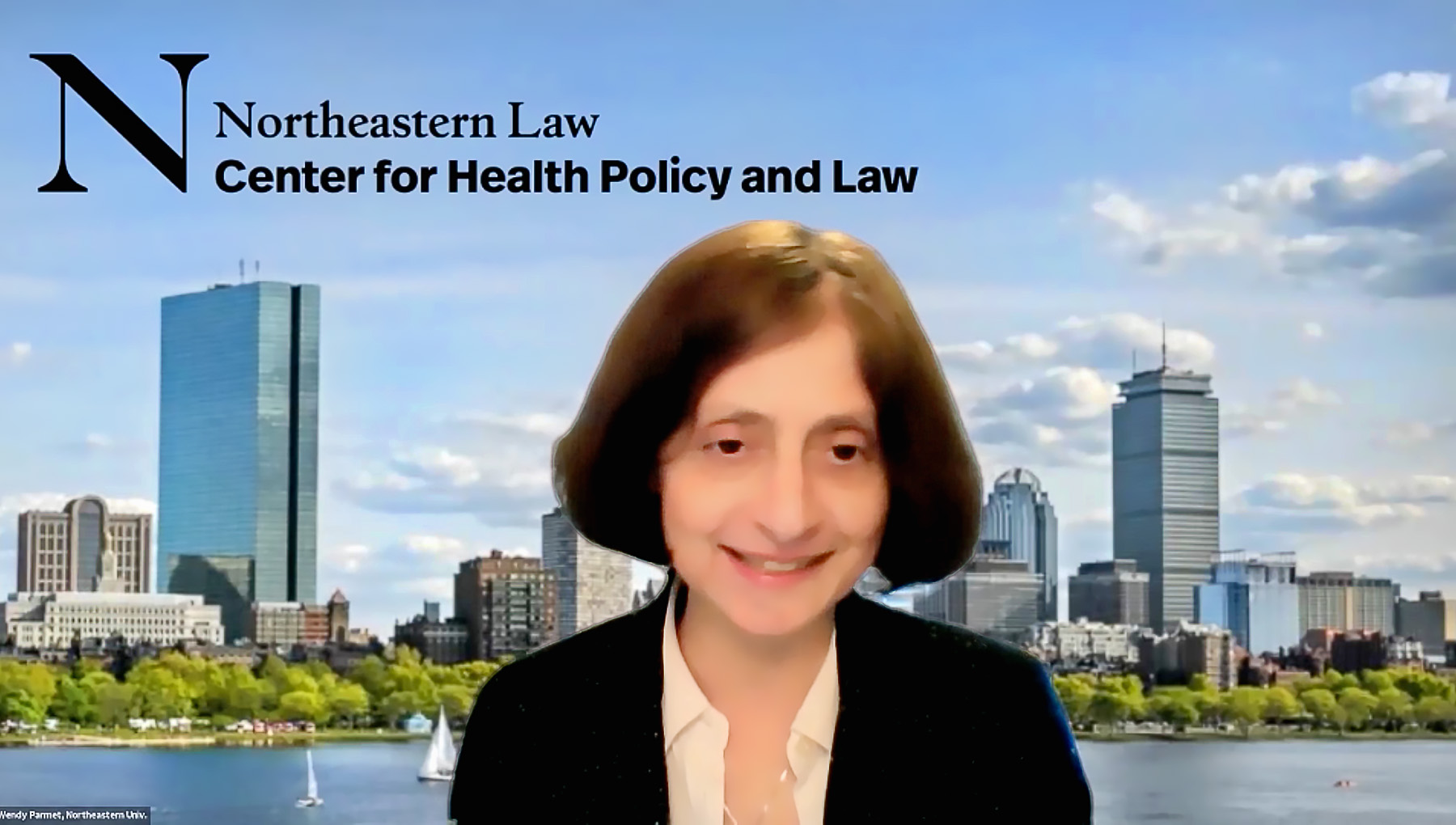 Professor Wendy Parmet, director of Northeastern Law's Center for Health Policy and Law