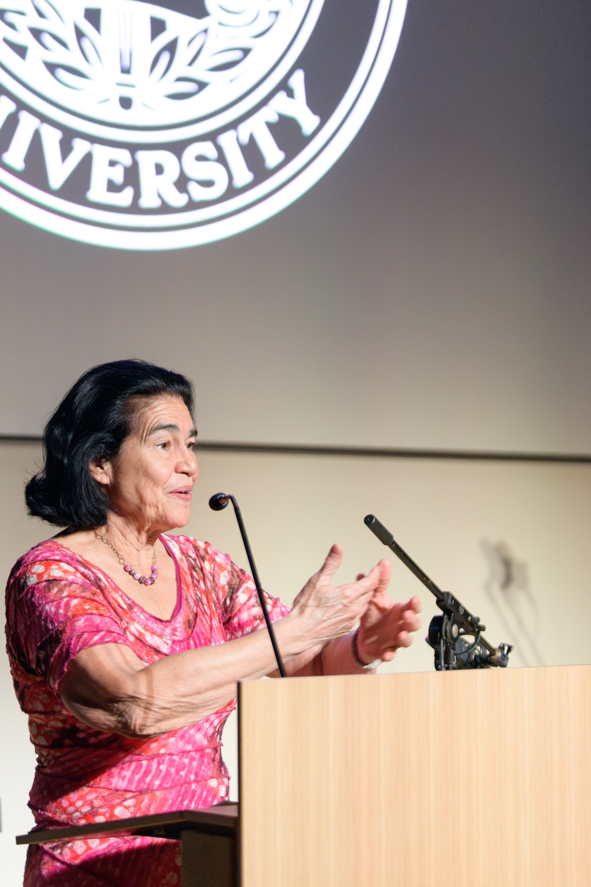Professor Deborah Ramirez, faculty co-director of CLEAR