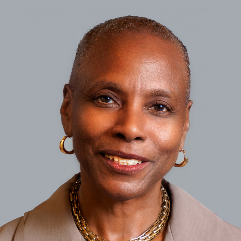 CLEAR Hosts Summer Guest Lecture Series