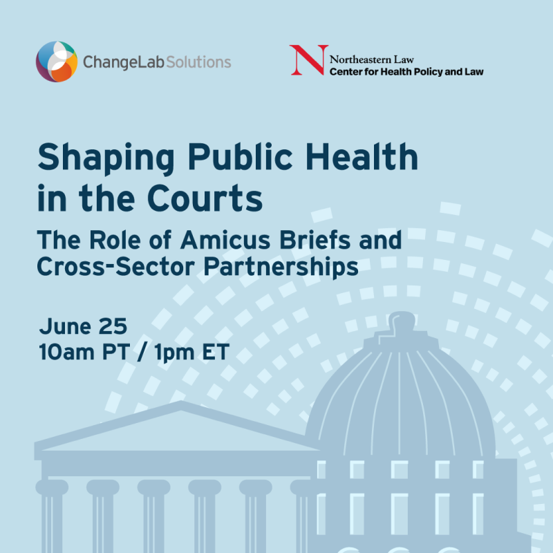 Shaping Public Health in the Courts: The Role of Amicus Briefs and Cross-Sector Partnerships