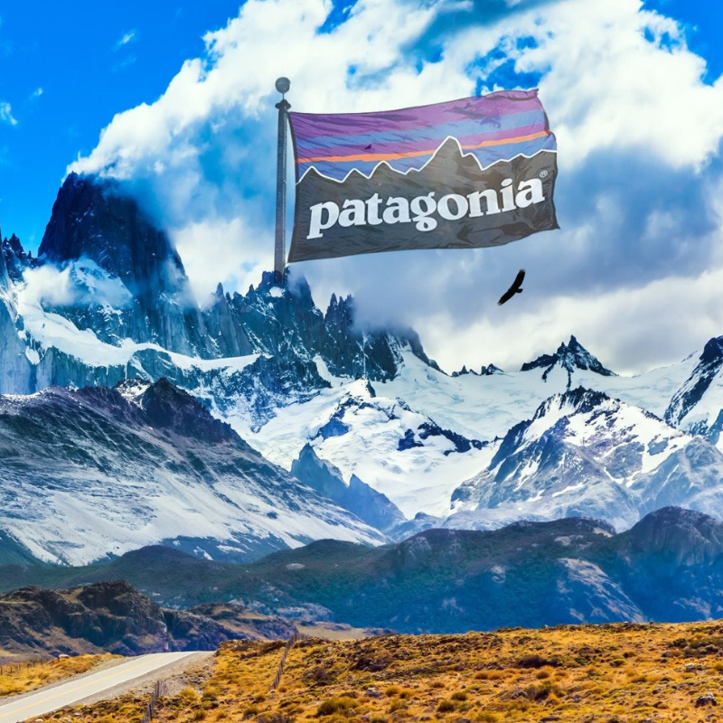 Patagonia and the Commodification of Nature