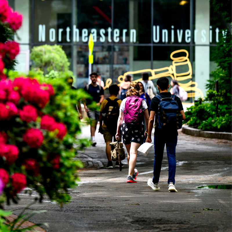 Northeastern Law Earns Top Rankings and National Recognition for Health Law 